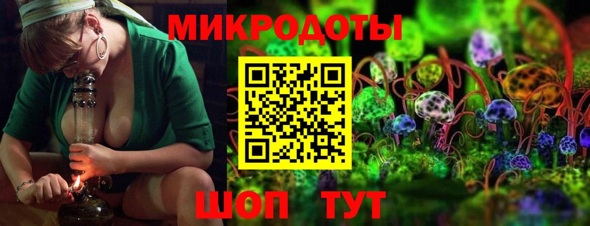 Псилоцибиновые грибы Psilocybe Михайловка